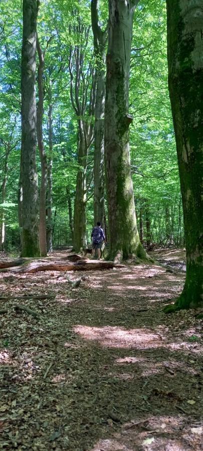 Onder De Eik Villa Ermelo Exteriör bild